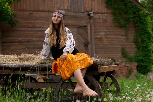 Vackra Smäckra Ukrainska Kvinna Broderi Bakgrunden Träram Lada Byn Sitter — Stockfoto