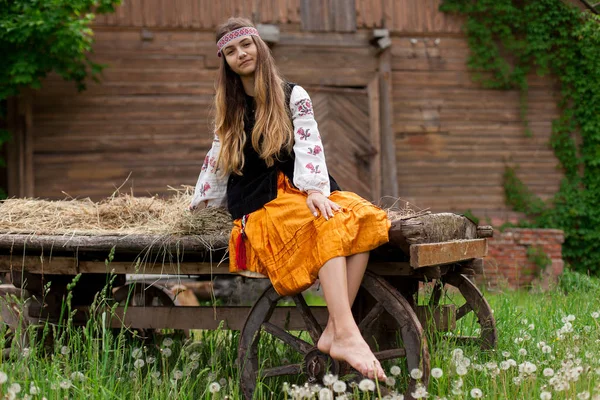 Piękna Kobieta Ukraiński Ubrany Haft Siedzi Drewniany Wózek — Zdjęcie stockowe