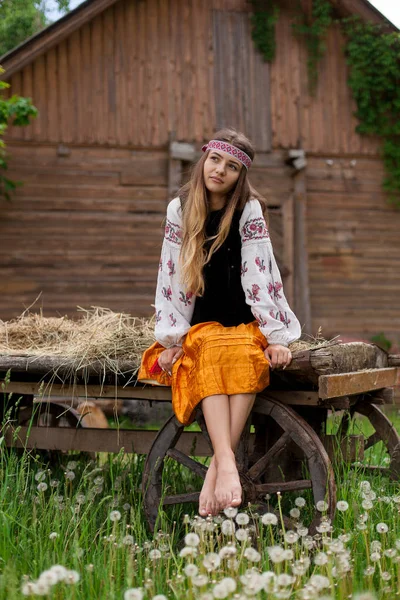 木製のカートの上に座って刺繍に身を包んだ美しいウクライナの女性 — ストック写真