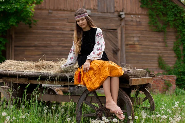 Beautiful slender Ukrainian woman in embroidery on the background of a wooden frame of a barn in the village sits on a wooden cart