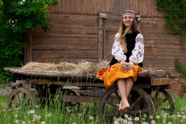 Vackra Smäckra Ukrainska Kvinna Broderi Bakgrunden Träram Lada Byn Sitter — Stockfoto