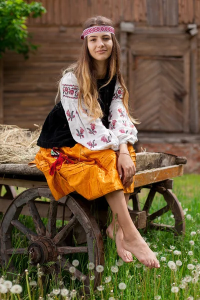 Nakış ahşap sepeti üzerinde oturan giymiş güzel Ukraynalı kadın