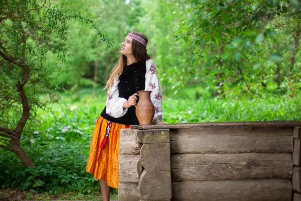 木製も得る新鮮な水の背景に刺繍の美しいスレンダー ウクライナ — ストック写真