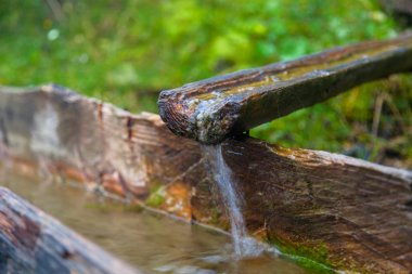 bir ahşap içme dağlar kase bir bahar hayvanlar su için