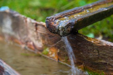 bir ahşap içme dağlar kase bir bahar hayvanlar su için