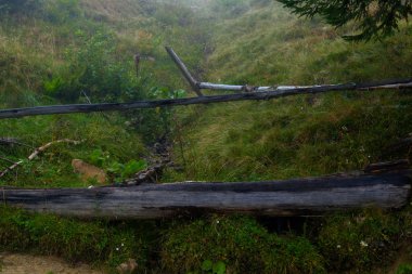 bir ahşap içme dağlar kase bir bahar hayvanlar su için