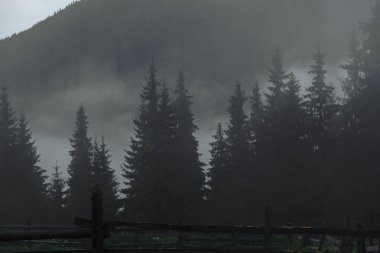 Sisli bir yaz sabahında dağlarda eko-çiftlik