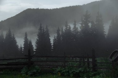 Sisli bir yaz sabahında dağlarda eko-çiftlik