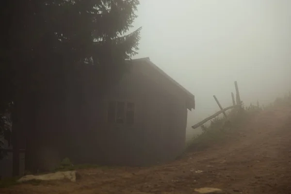 Еко Ферма Горах Туманному Літньому Ранку — стокове фото