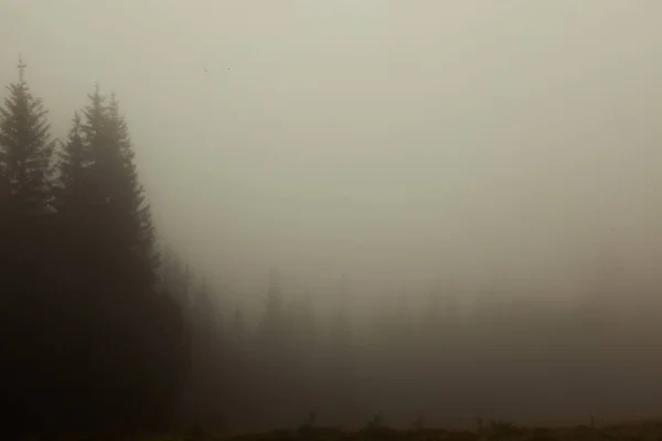 Manhã Cedo Estrada Para Nevoeiro Quase Nada Para Ver — Fotografia de Stock
