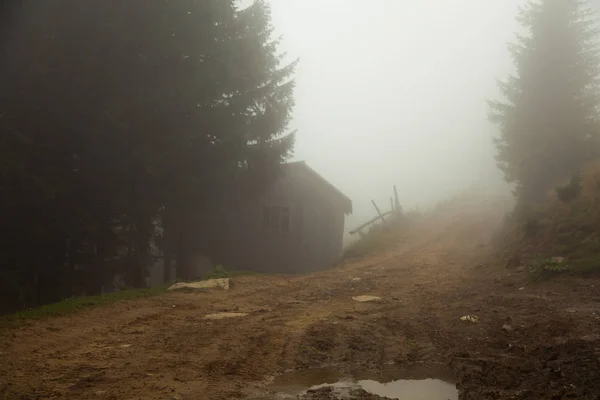 Еко Ферма Горах Туманному Літньому Ранку — стокове фото