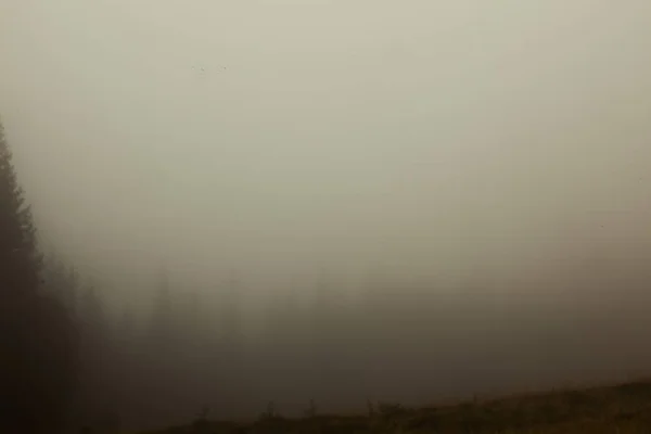 Temprano Mañana Camino Niebla Casi Nada Que Ver — Foto de Stock