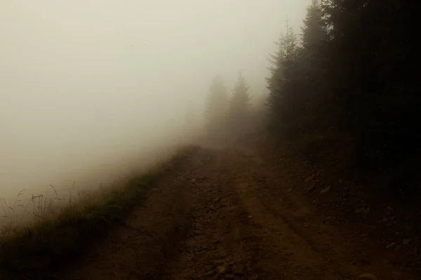Manhã Cedo Estrada Para Nevoeiro Quase Nada Para Ver — Fotografia de Stock