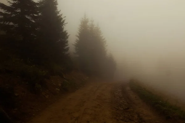 Temprano Mañana Camino Niebla Casi Nada Que Ver — Foto de Stock
