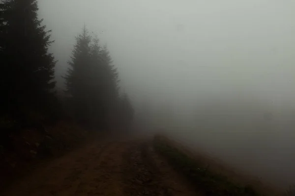 Temprano Mañana Camino Niebla Casi Nada Que Ver — Foto de Stock