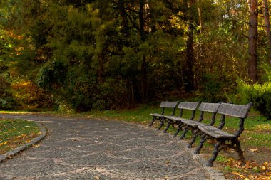 sarı sonbahar Ukrayna Uman Sophia Park yaprakları