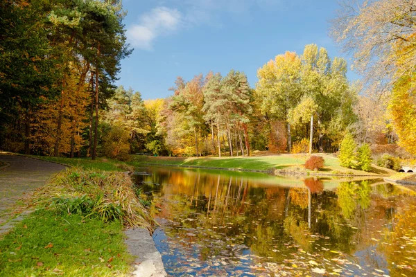 Żółty Liść Jesieni Ukraina Uman Sophia Park — Zdjęcie stockowe