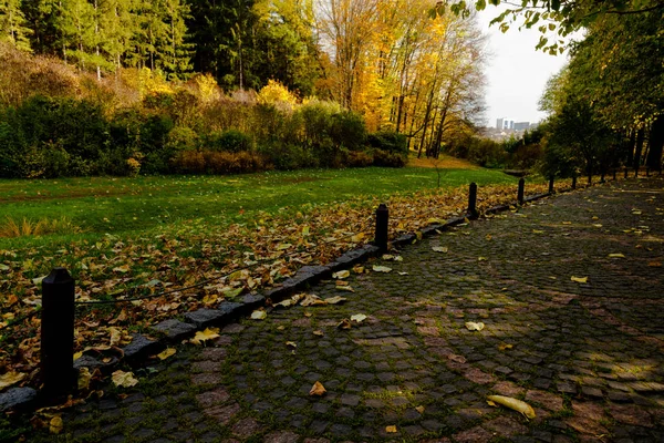 Hojas Amarillas Otoño Ucrania Uman Sophia Park —  Fotos de Stock