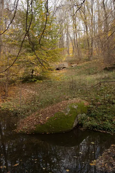 Hojas Amarillas Otoño Ucrania Uman Sophia Park — Foto de Stock