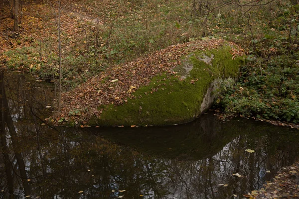 Hojas Amarillas Otoño Ucrania Uman Sophia Park — Foto de Stock