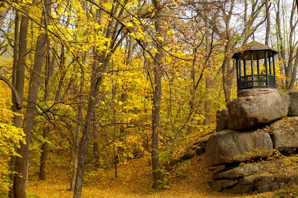 sarı sonbahar Ukrayna Uman Sophia Park yaprakları