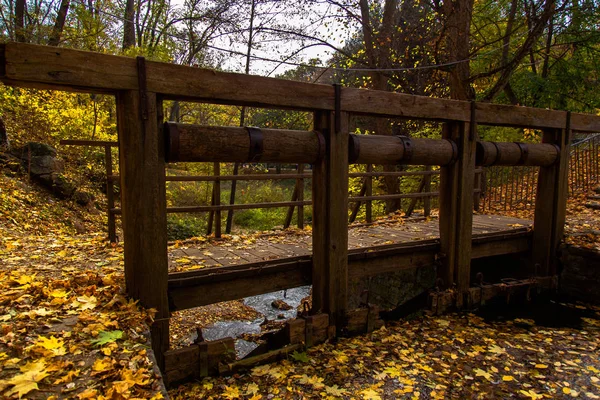 Hojas Amarillas Otoño Ucrania Uman Sophia Park — Foto de Stock