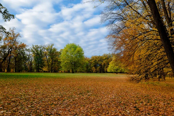 Hojas Amarillas Otoño Ucrania Uman Sophia Park —  Fotos de Stock