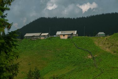 Bulutlu bir sk altında gorge üzerinde Karpatlar içinde ahşap kulübe