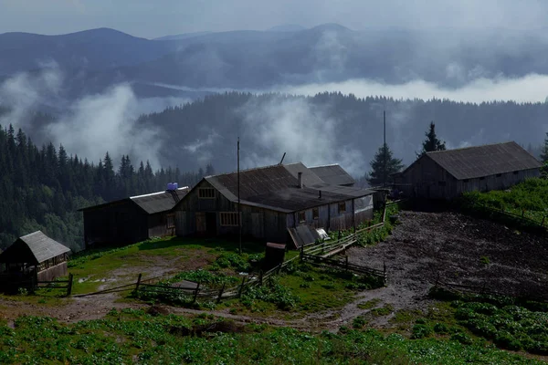 Cabane Bois Dans Les Carpates Soulève Brouillard — Photo