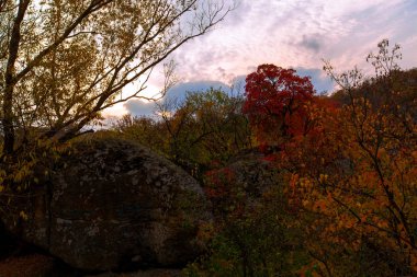 nehir kıyısında kayalık sonbahar ağaçlar