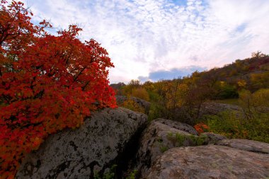 nehir kıyısında kayalık sonbahar ağaçlar