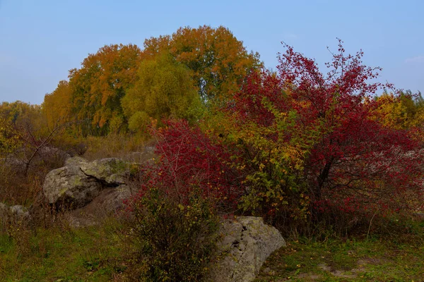 Podzimní Stromy Skalnatém Břehu Řeky — Stock fotografie