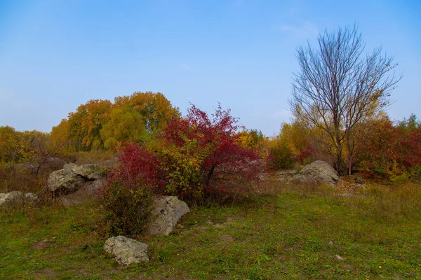 Nehir Kıyısında Kayalık Sonbahar Ağaçlar — Stok fotoğraf