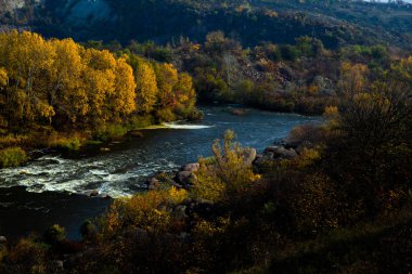 parlak sarı ağaçlar güneşli gün panorama üzerinde nehir banka Altın Sonbahar