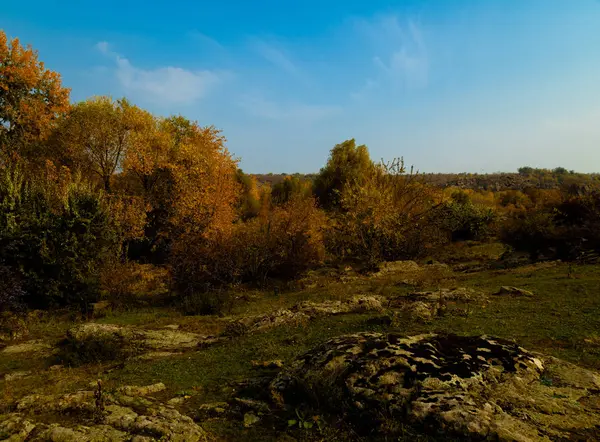 Sunny Day Panorama River Bank Golden Autumn — Stock Photo, Image