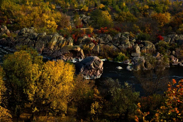 Bright Yellow Trees Sunny Day Panorama River Bank Golden Autumn — Stock Photo, Image