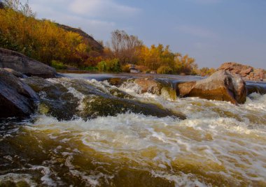 hızlı bir nehir kıyısında sonbahar sarı ağaçlarda üzerinde taş
