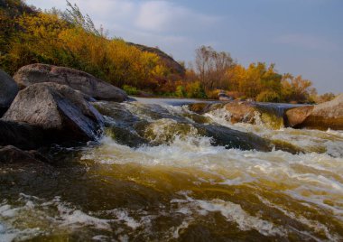 hızlı bir nehir kıyısında sonbahar sarı ağaçlarda üzerinde taş