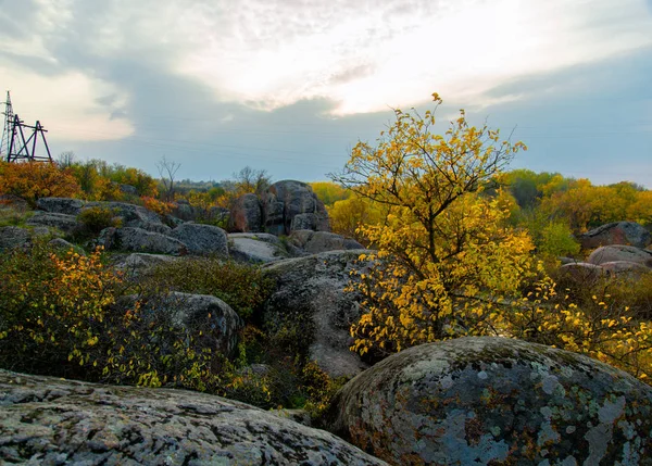 Ruhiger Rückstau Eines Flusses Umgeben Von Gelben Bäumen Herbst — Stockfoto