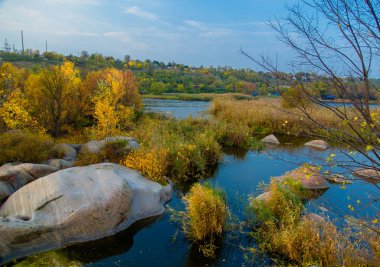 sonbaharda sarı ağaçlarıyla çevrili bir Nehri'nin sakin durgun