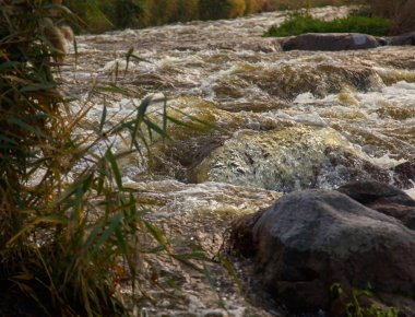renkler ve renk tonlarının akıntıdan parlak bir sonbahar gününde etrafında dağ nehir akışının oyunu
