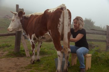 Kız doğal süt alır - Karpatya dağlarındaki bir çiftlikte inek sağar