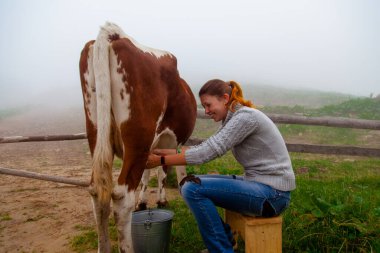Kız doğal süt alır - Karpatya dağlarındaki bir çiftlikte inek sağar