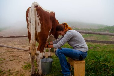 Kız doğal süt alır - Karpatya dağlarındaki bir çiftlikte inek sağar