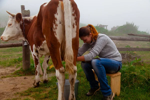 Girl Gets Natural Milk Milks Cow Farm Carpathian Mountains — Stock Photo, Image