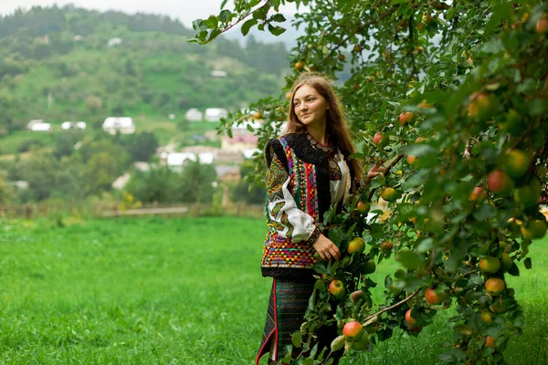 一个穿绣花衣服的女孩站在一棵苹果树下的草地上 旁边是一座山村 — 图库照片