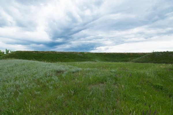 Prairie Verte Sous Le Ciel Bleu Nuageux Qui Depasse L Horizon Ensoleille Nuages Stock Photo Prairie Verte Sous Le Ciel Bleu Nuageux Qui Depasse L Horizon Ensoleille Nuages Stock Photo