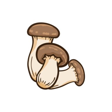 Yakın planda üç mantar gösteriliyor. Mantarlar kahverengi ve beyaz renktedir. Mantarlar bir şekilde üst üste dizilmişler.