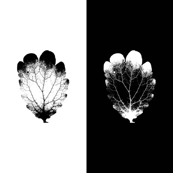 Silhouettes réalistes à base de plantes — Image vectorielle