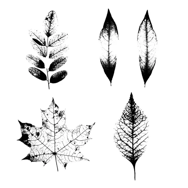 Silhouettes réalistes à base de plantes — Image vectorielle